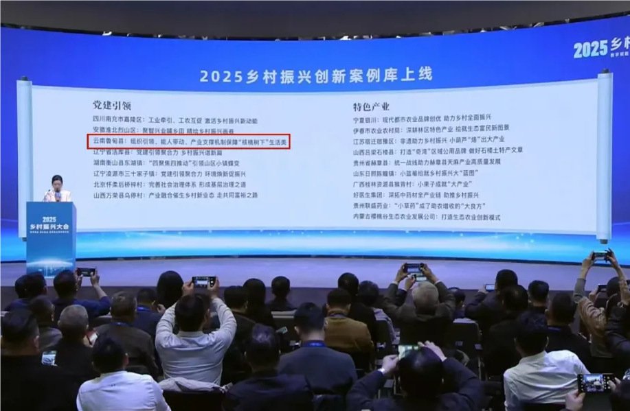 保利Z6人生就是博案例入选人民网“2025村落振兴创新案例库”