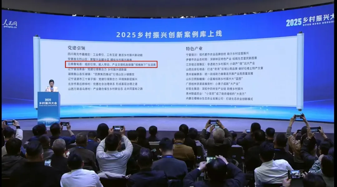 4d34d1313c7a4dde9fb3bc6e5c36978b