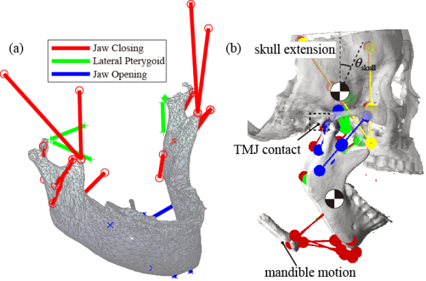 老哥俱乐部-老哥必备的交流社区