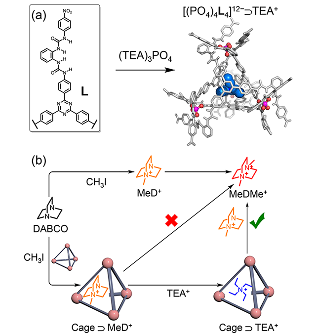 老哥俱乐部-老哥必备的交流社区