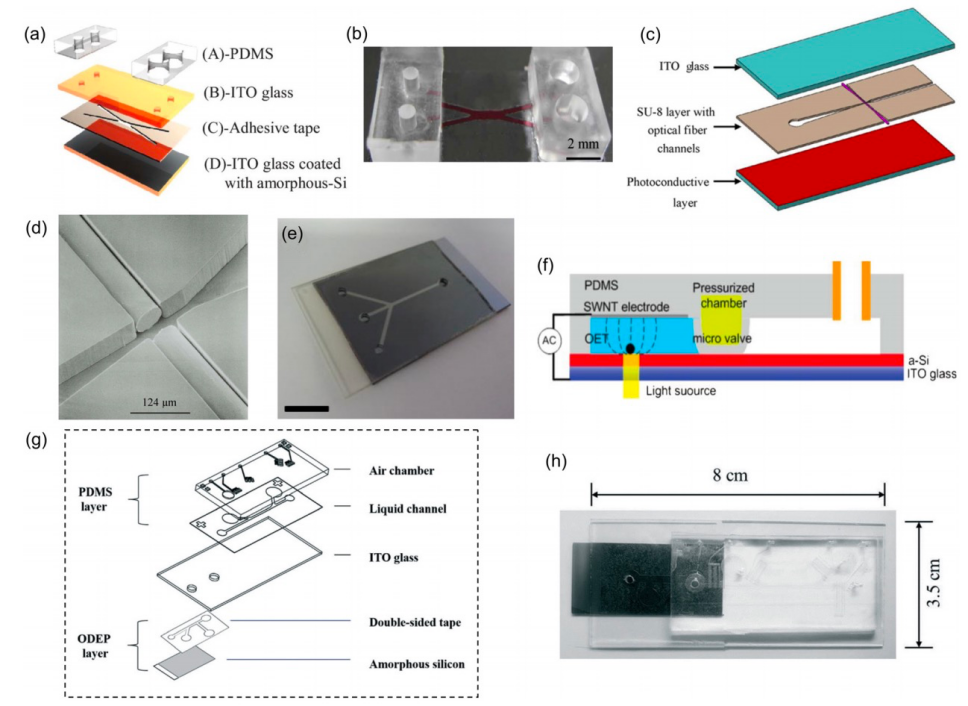 老哥俱乐部-老哥必备的交流社区