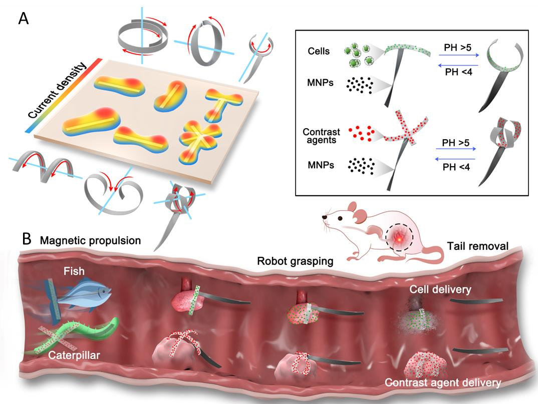 老哥俱乐部-老哥必备的交流社区