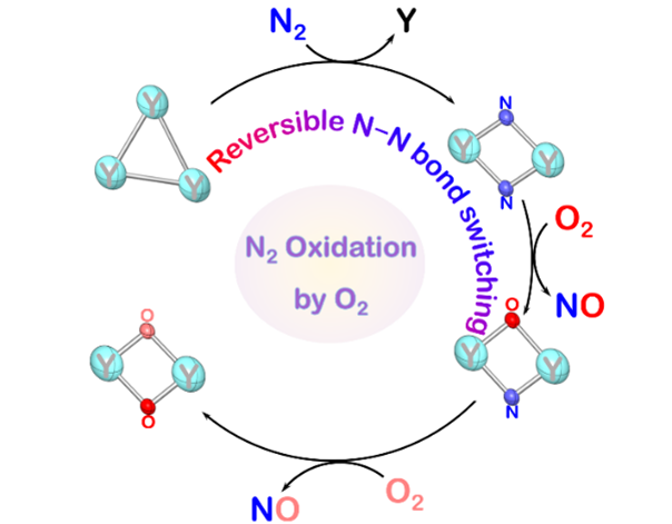 老哥俱乐部-老哥必备的交流社区