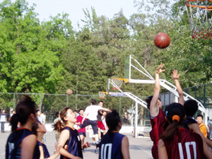 老哥俱乐部-老哥必备的交流社区