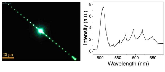 老哥俱乐部-老哥必备的交流社区