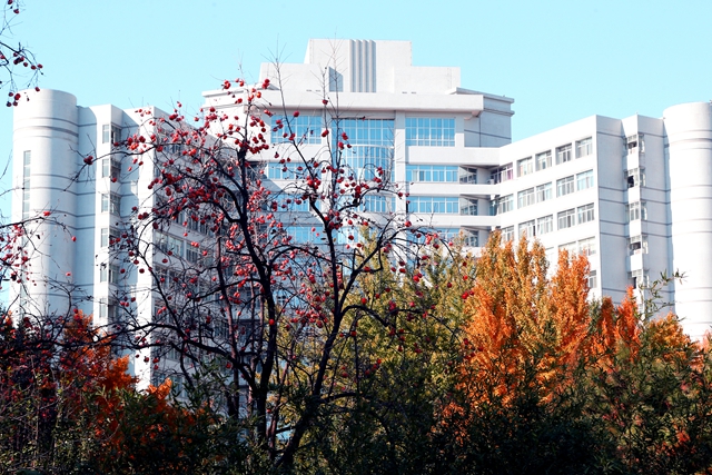 老哥俱乐部-老哥必备的交流社区