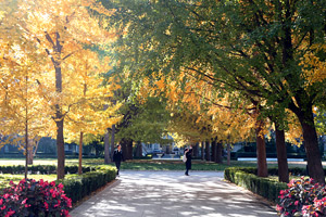 老哥俱乐部-老哥必备的交流社区