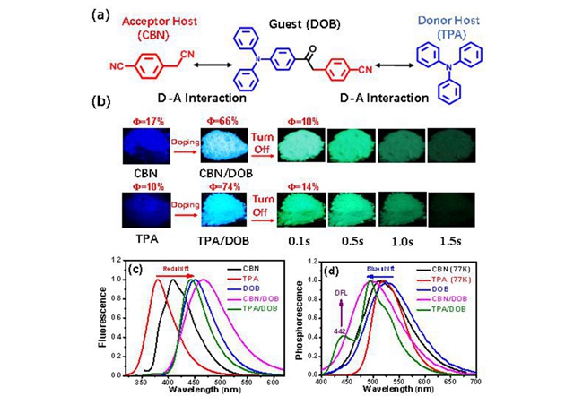 老哥俱乐部-老哥必备的交流社区