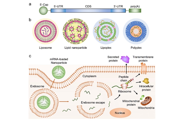 老哥俱乐部-老哥必备的交流社区