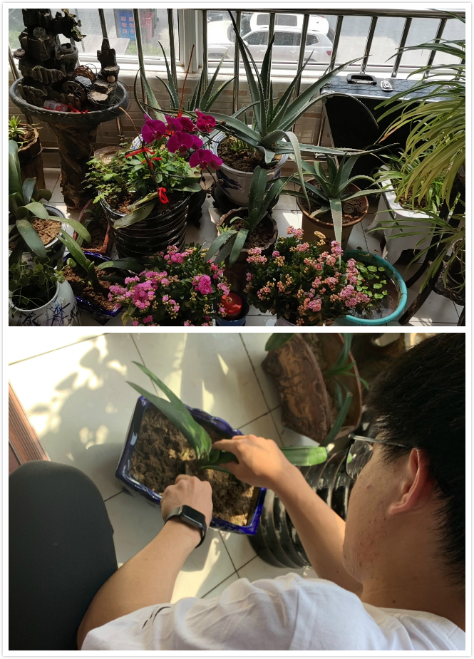 老哥俱乐部-老哥必备的交流社区