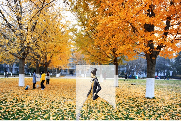 老哥俱乐部-老哥必备的交流社区