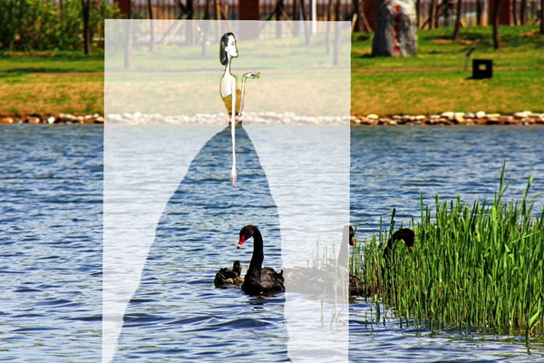 老哥俱乐部-老哥必备的交流社区