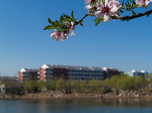 老哥俱乐部-老哥必备的交流社区