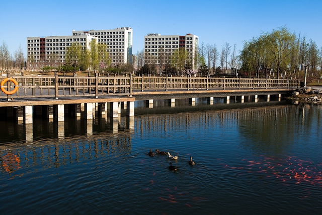 老哥俱乐部-老哥必备的交流社区