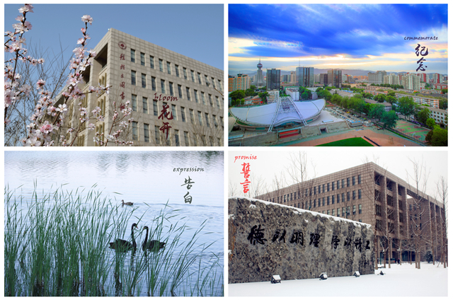 老哥俱乐部-老哥必备的交流社区