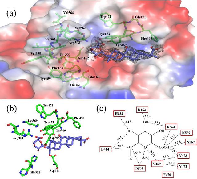 老哥俱乐部-老哥必备的交流社区
